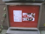 20061029Misuzudo2.jpg